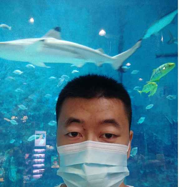 河北34岁单身帅哥真诚找对象-内蒙古征婚相亲网