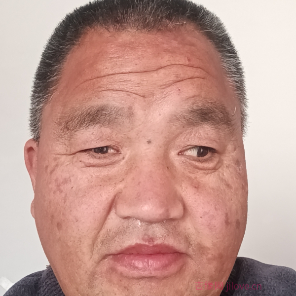 内蒙古征婚相亲网